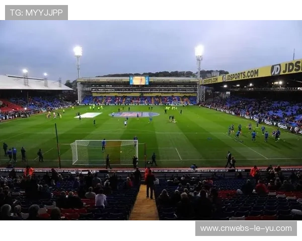 曼城加速引进水晶宫中卫格伊，冬窗报价3000万镑