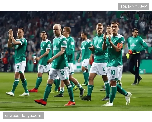 历史回顾：三十年前的今天，一支德甲球队的夺冠奇迹